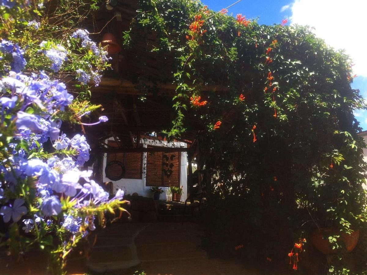 Tinto Hostel Barichara Dış mekan fotoğraf