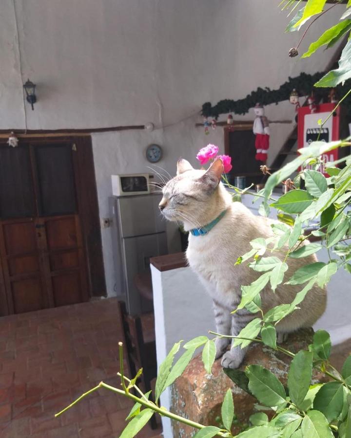 Tinto Hostel Barichara Dış mekan fotoğraf