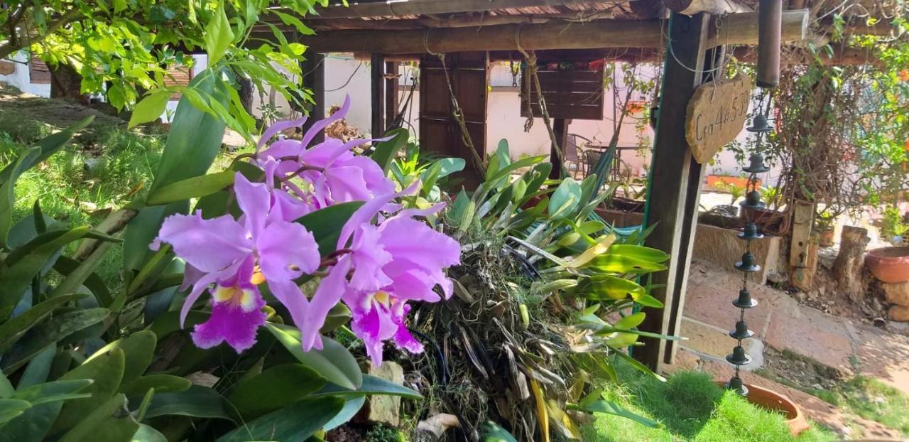 Tinto Hostel Barichara Dış mekan fotoğraf